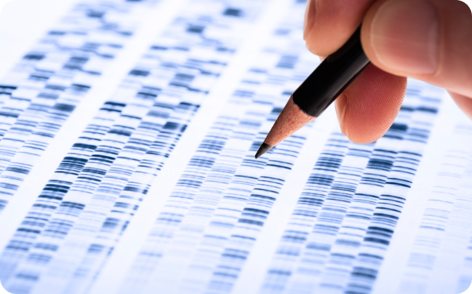 Close-up of a hand holding a pencil above a printed DNA sequence graph.