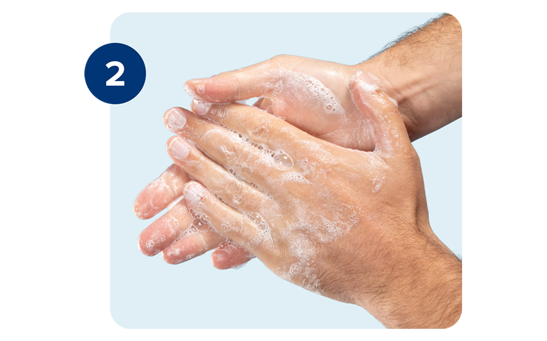 Pair of hands being scrubbed with soap. Pair of hands being scrubbed with soap.