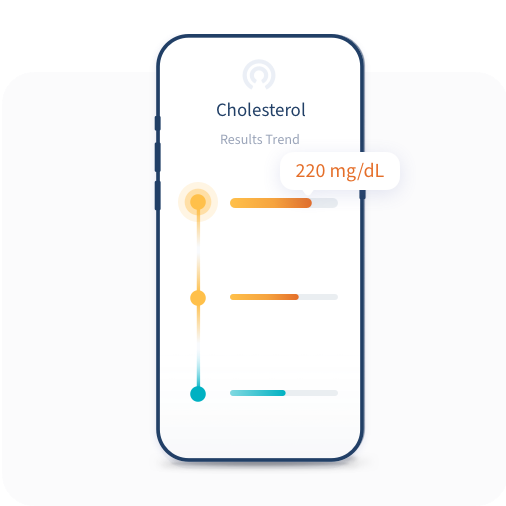 Home Testosterone Test Kit: Results in 2-5 Days - LetsGetChecked USA