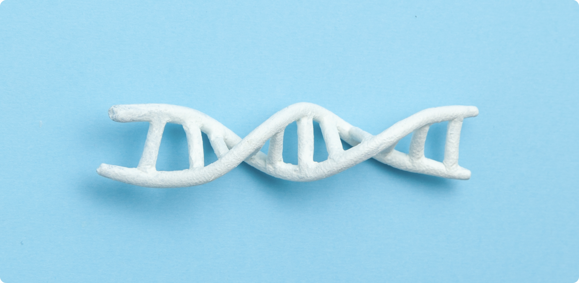 What is the Genetic Information Nondiscrimination Act (GINA)?