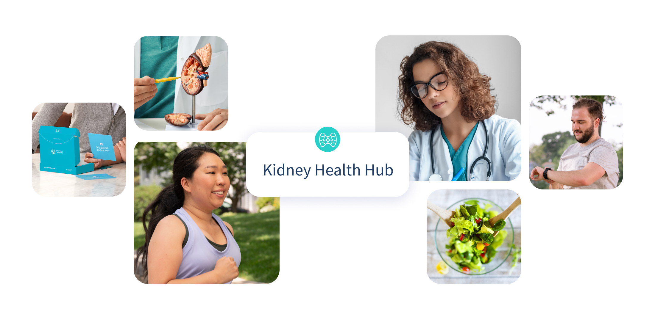 Kidney health hub header