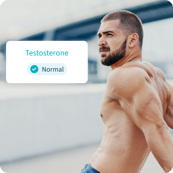 Testosterone At Home Test Kit, Check for Low T
