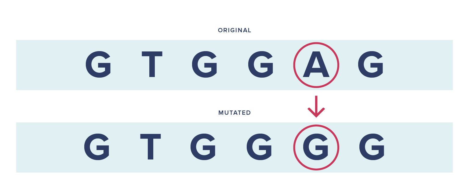 Illustration showing genetic mutation