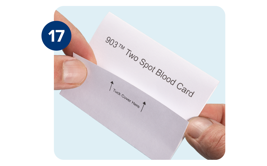 Pair of hands folding the two spot blood card. Pair of hands folding the two spot blood card.