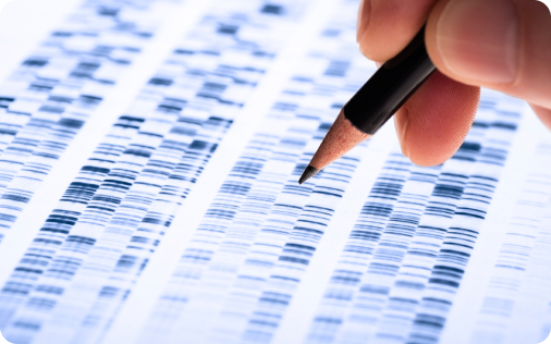 Close-up of a hand holding a pencil above a printed DNA sequence graph.