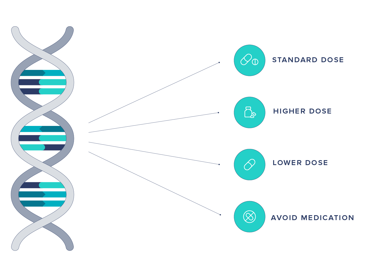 Illustration showing effects of doses on different people