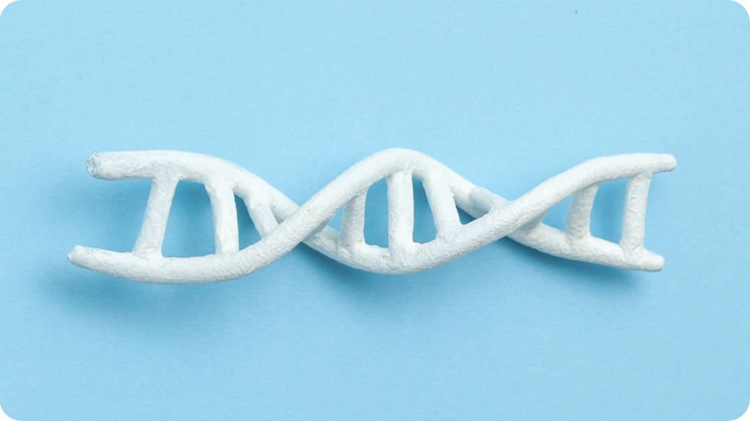 What is the Genetic Information Nondiscrimination Act (GINA)?