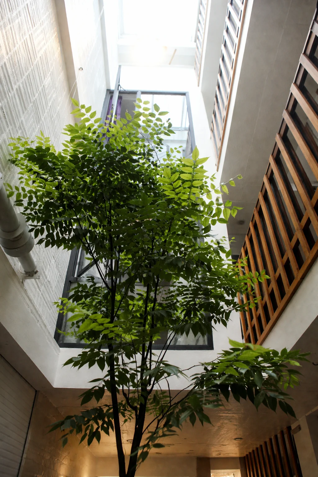 01. TRIEU KHUC HOUSE-5