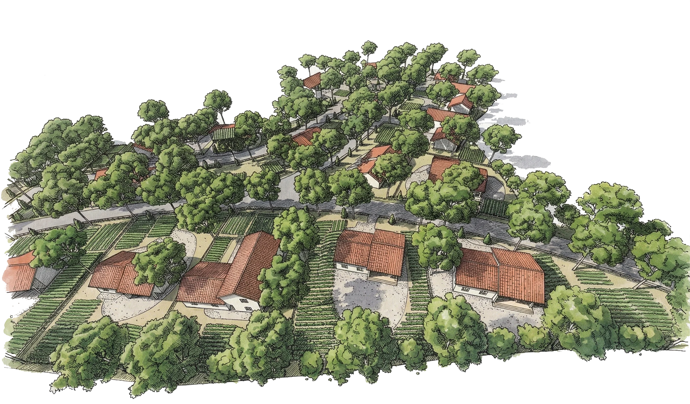 03. ORGANICS AGRICULTURE VILLAGE-3