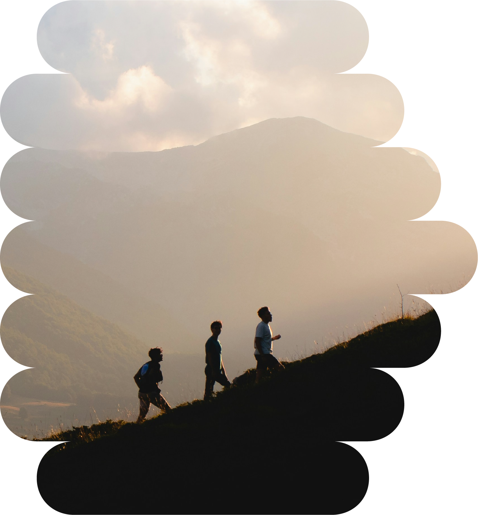 DIARKIS ourroots-image