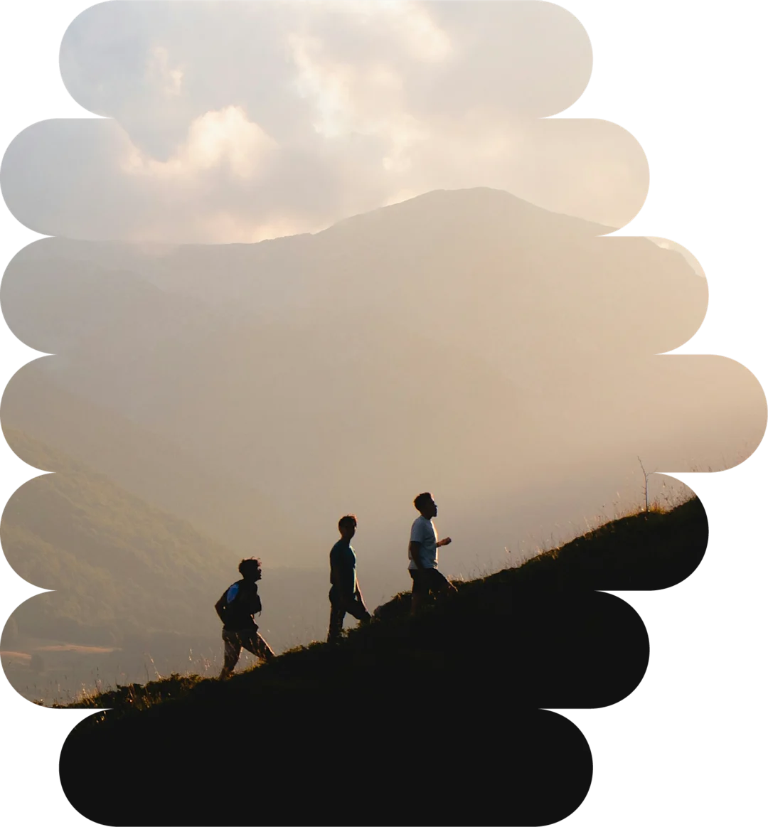 DIARKIS ourroots-image DIARKIS ourroots-image