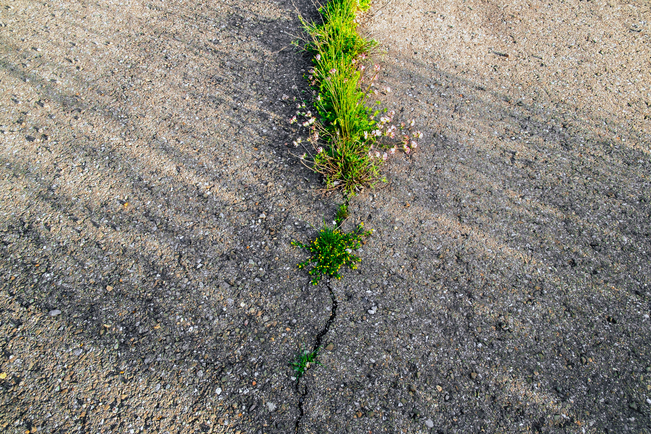 Artur Debat/Getty Images