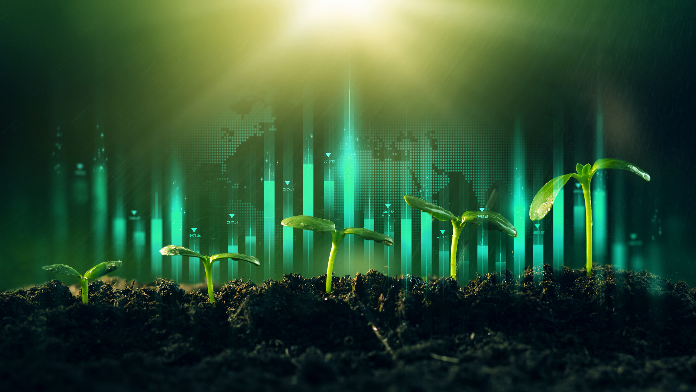 Galeanu Mihai/Getty Images