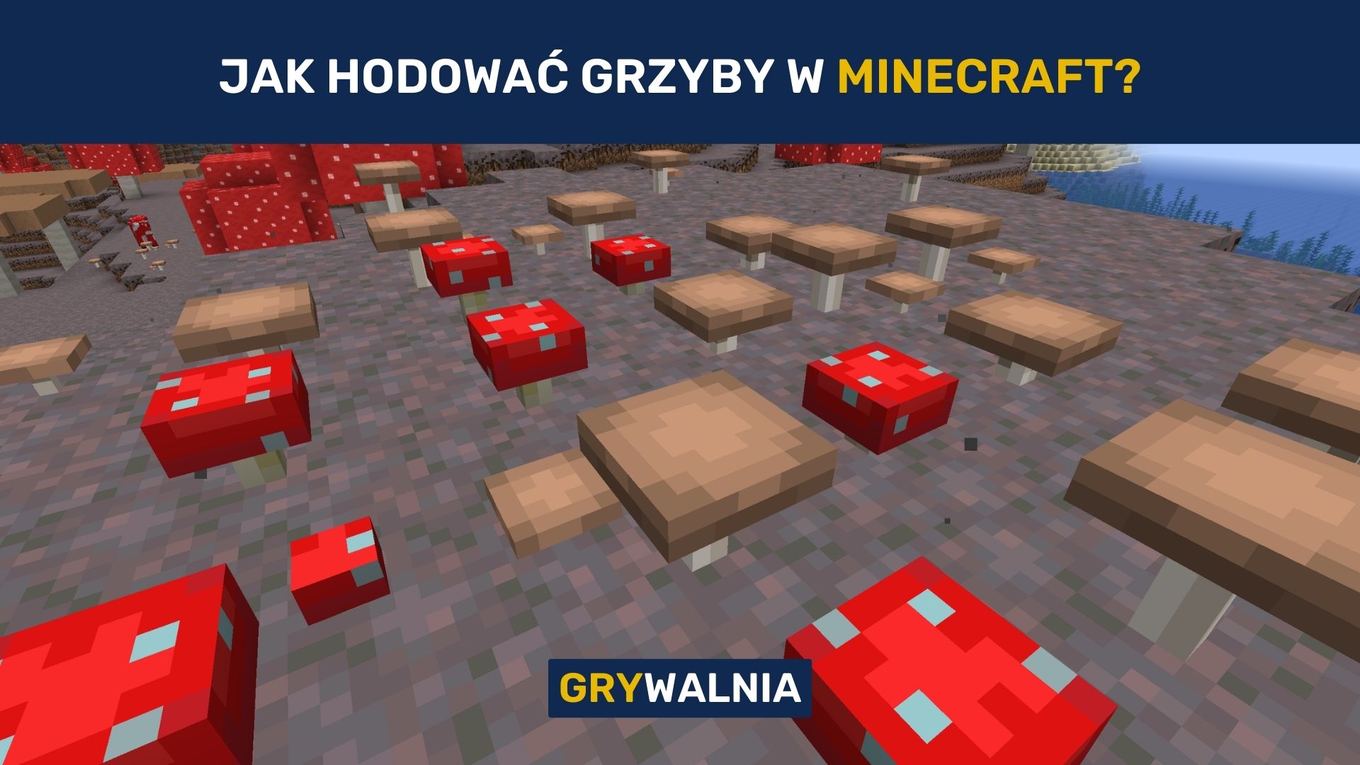 Jak hodować grzyby w Minecraft? - Grywalnia.pl
