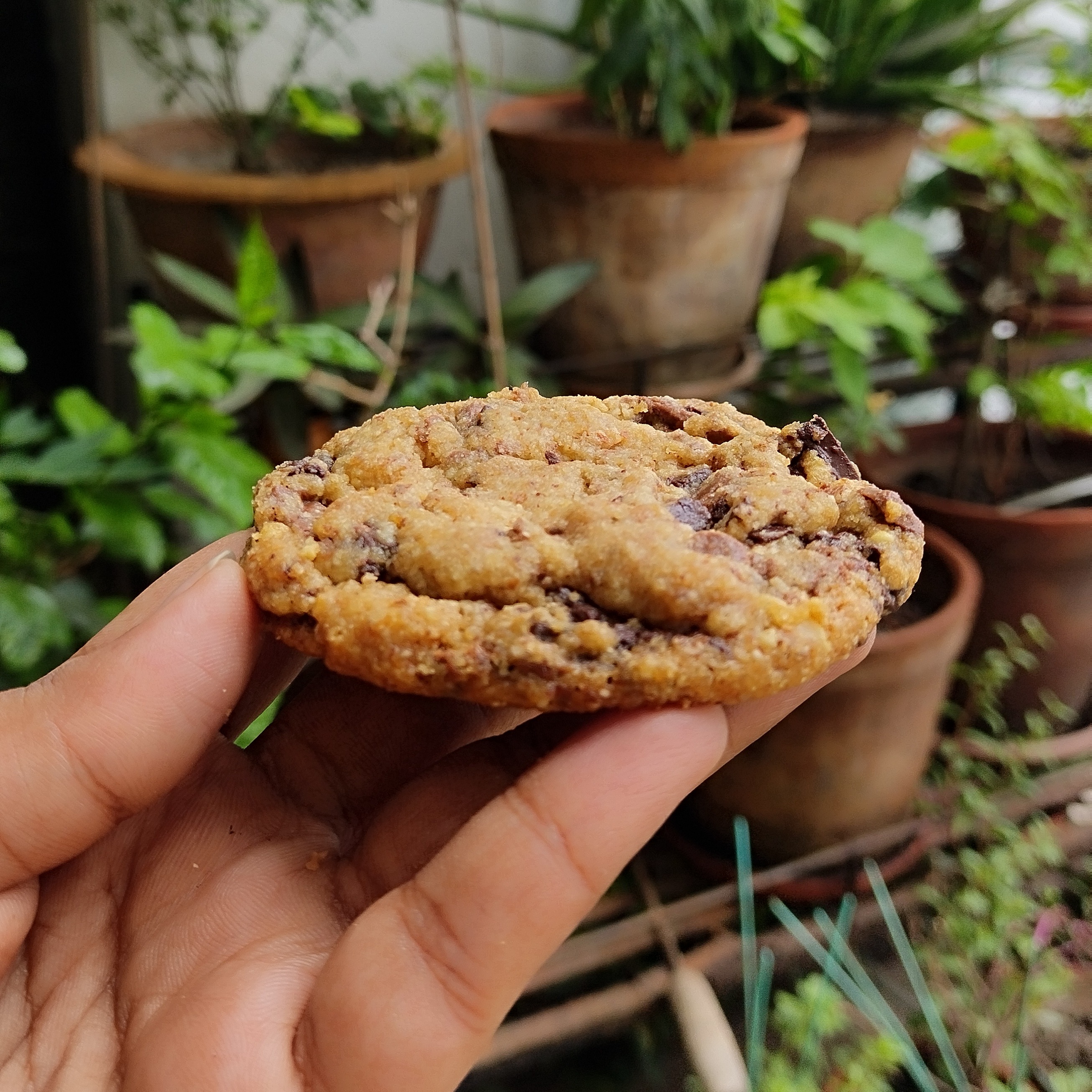 Butter_Chocochip_1