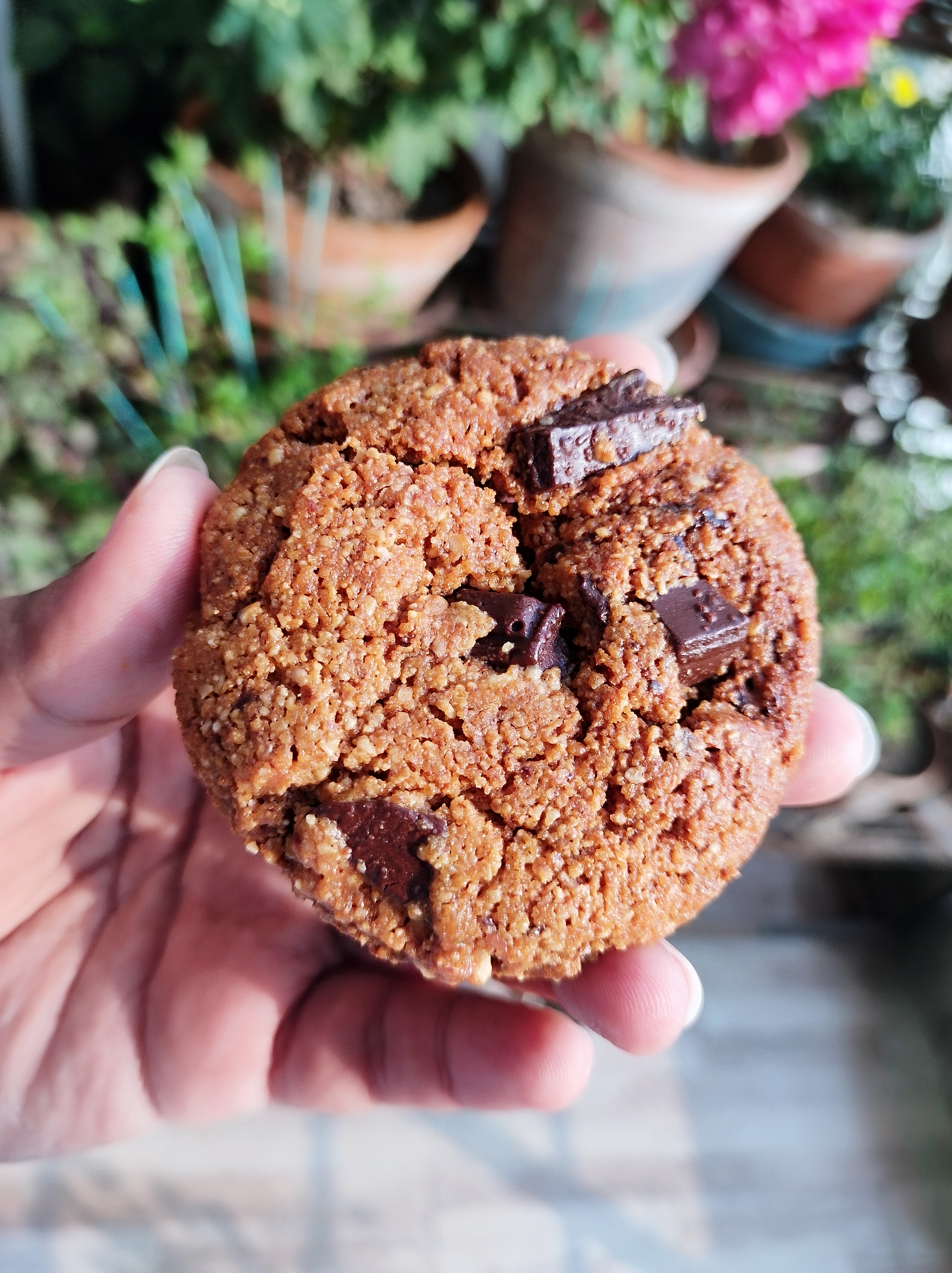 chocolate chip flourless cookie