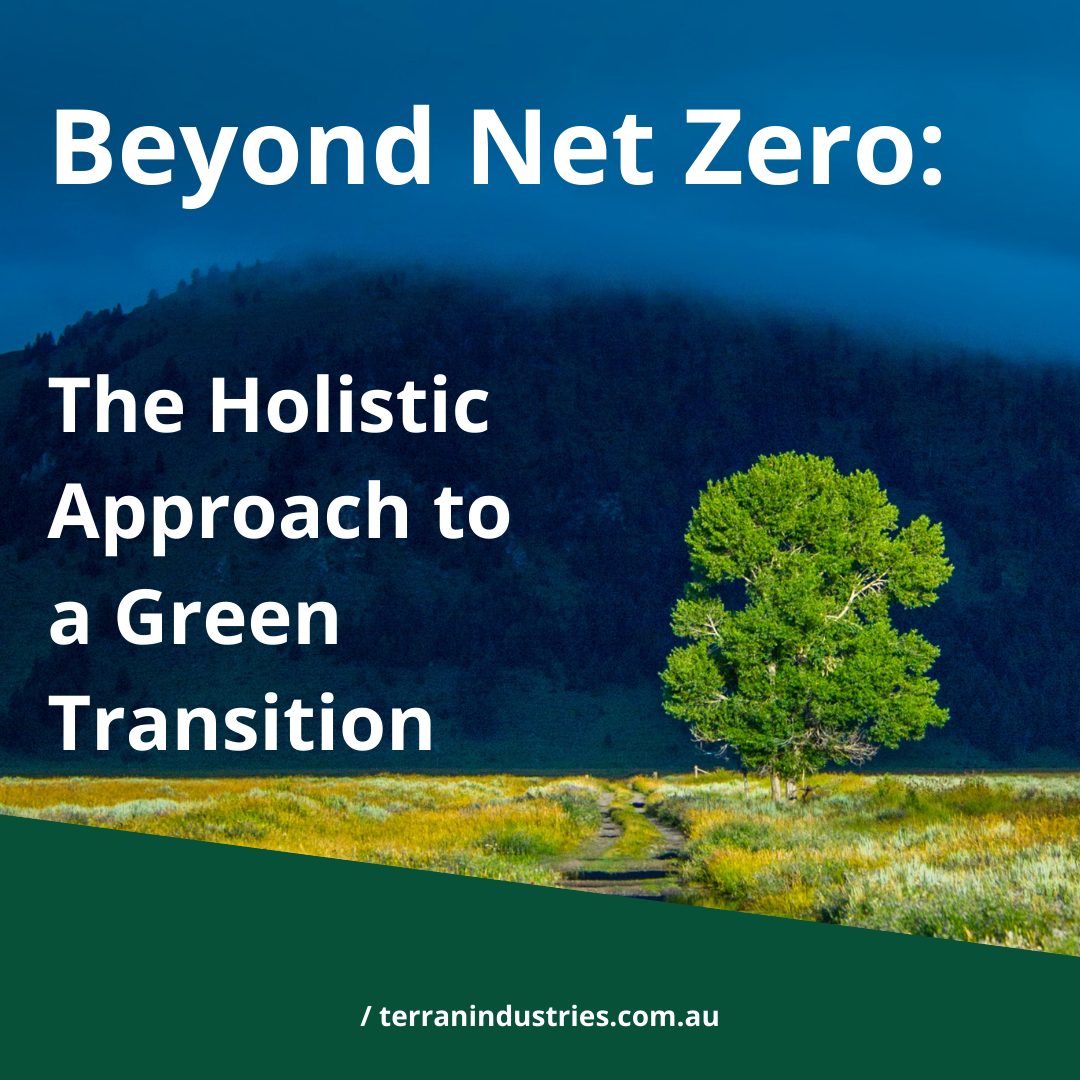 Beyond Net Zero: The Holistic Approach to a Green Transition