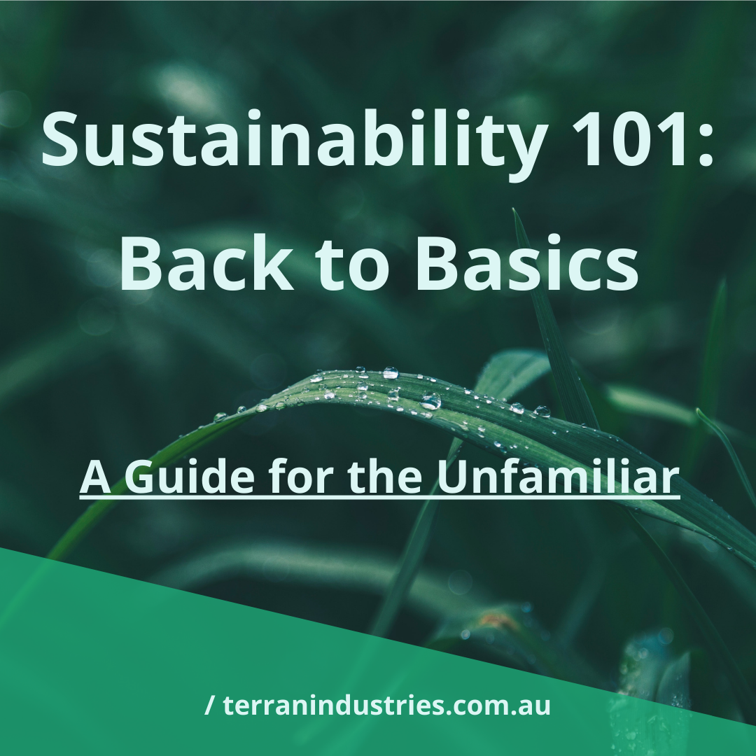 Sustainability 101 - Back To Basics