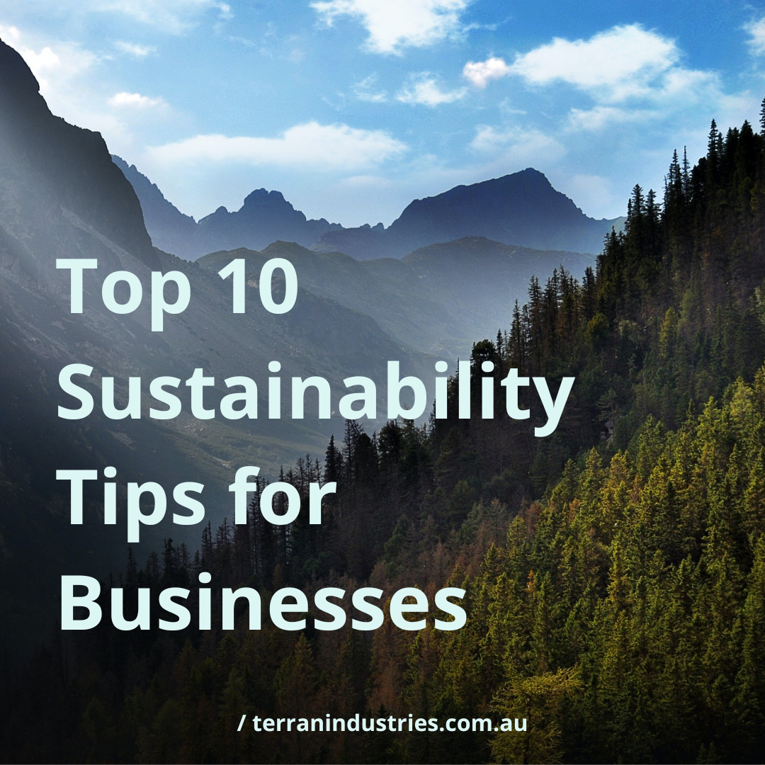 Top 10 Sustainability Tips for Businesses