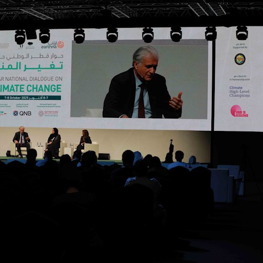 Leadership for Green Economy Development