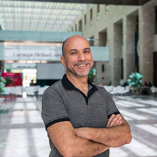 Innovation, Empowerment, Inclusivity