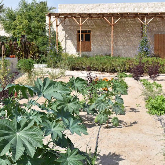 Treasuring Cultural Heritage