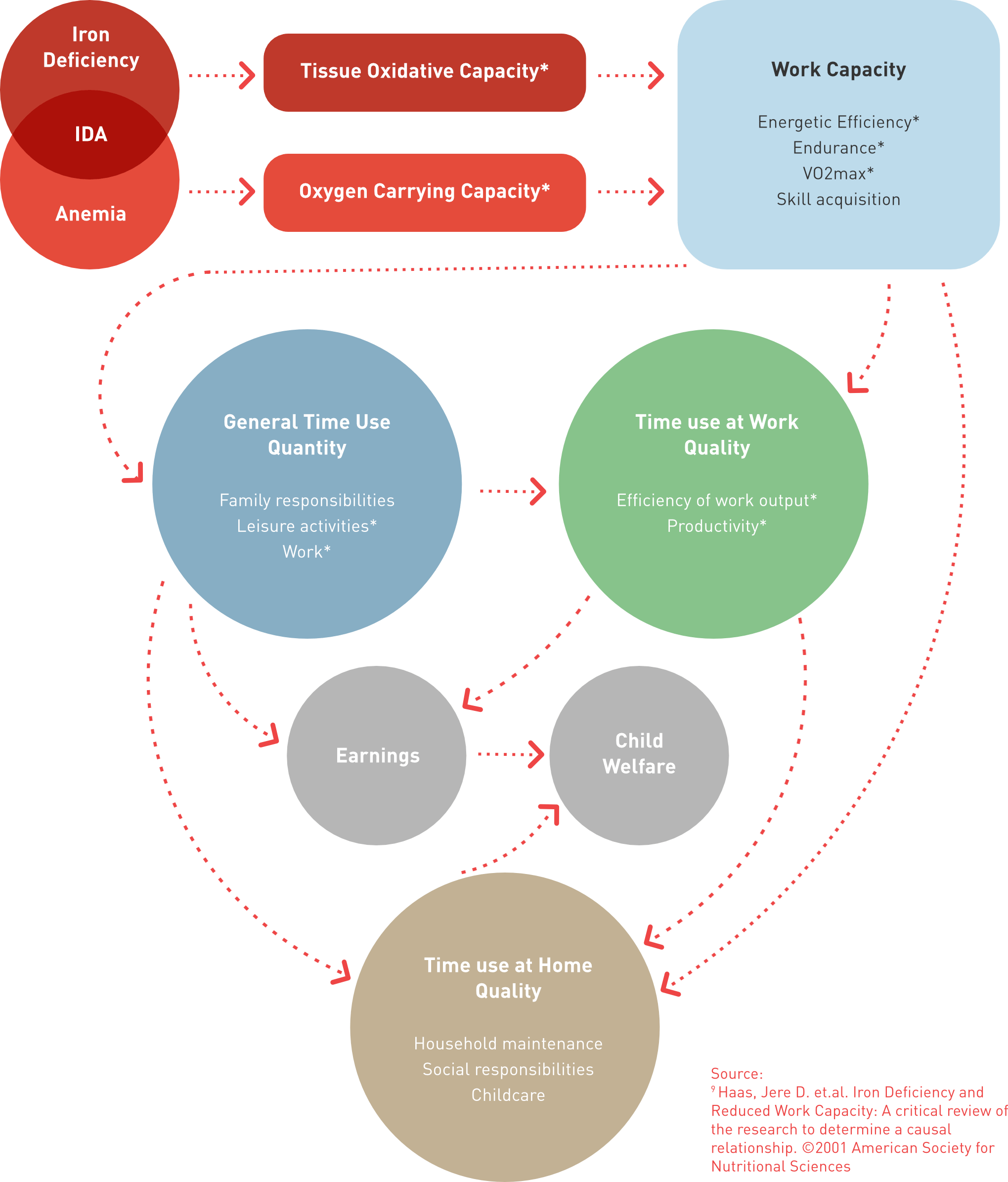 IRON AND ECONOMIC IMPACT (PRODUCTIVITY & COGNITION)