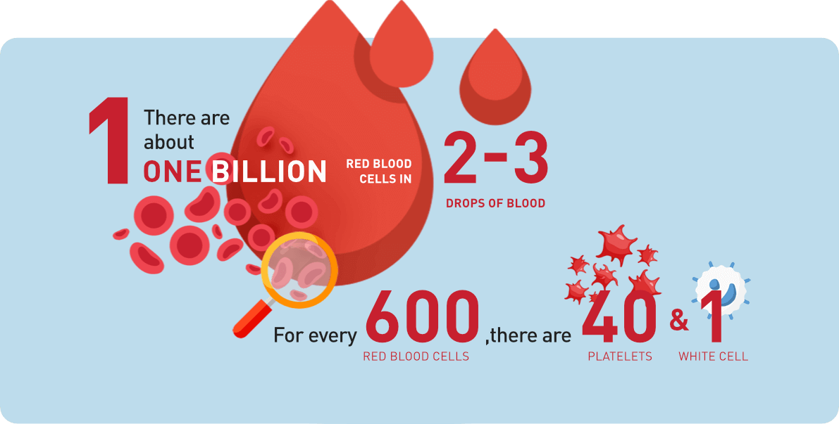 There are about one billion red blood cells in 2-3 drops of blood. For every 600 red blood cells, there are 40 platelets and 1 white cell