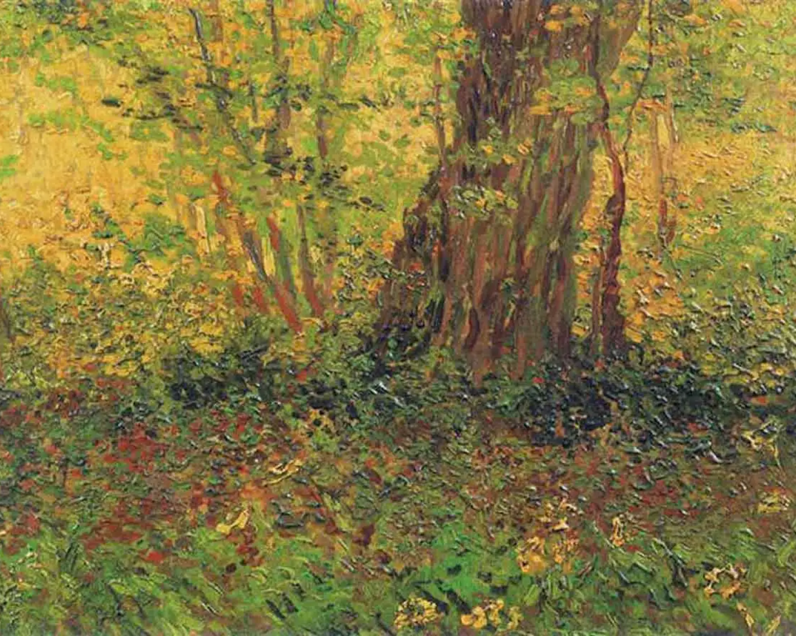 Undergrowth by Vincent van Gogh, 1887