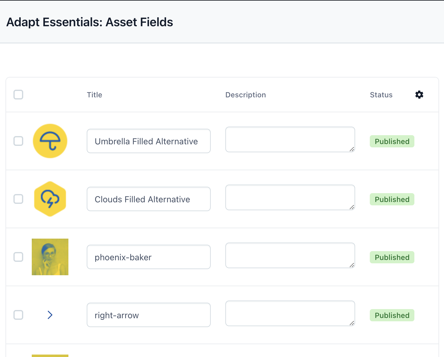 Bulk Asset Fields Screenshot