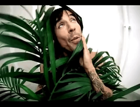 A man speaking while wrapped in the leaves of a tall plant