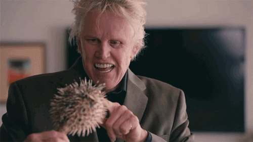 Gary Busey, looking a bit derranged, saying hello to a dead blowfish