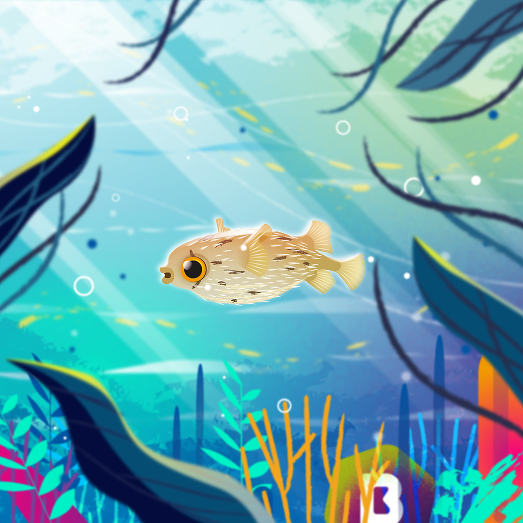 puffer-fish-1