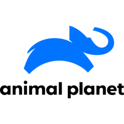 animal-planet