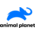 animal-planet