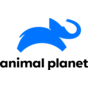 animal-planet