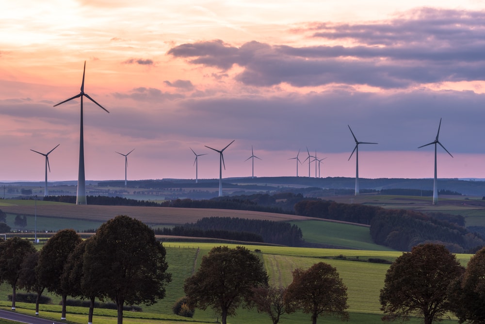 windmills in a field