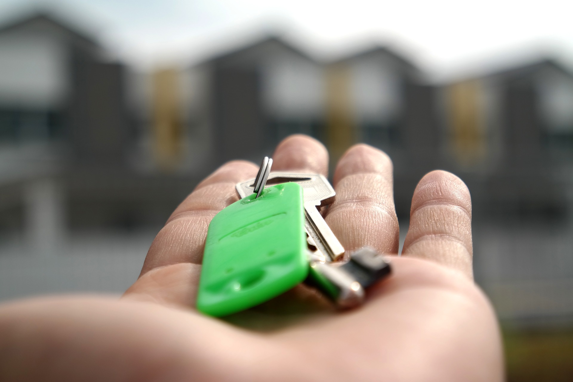 a hand holding a green and black object