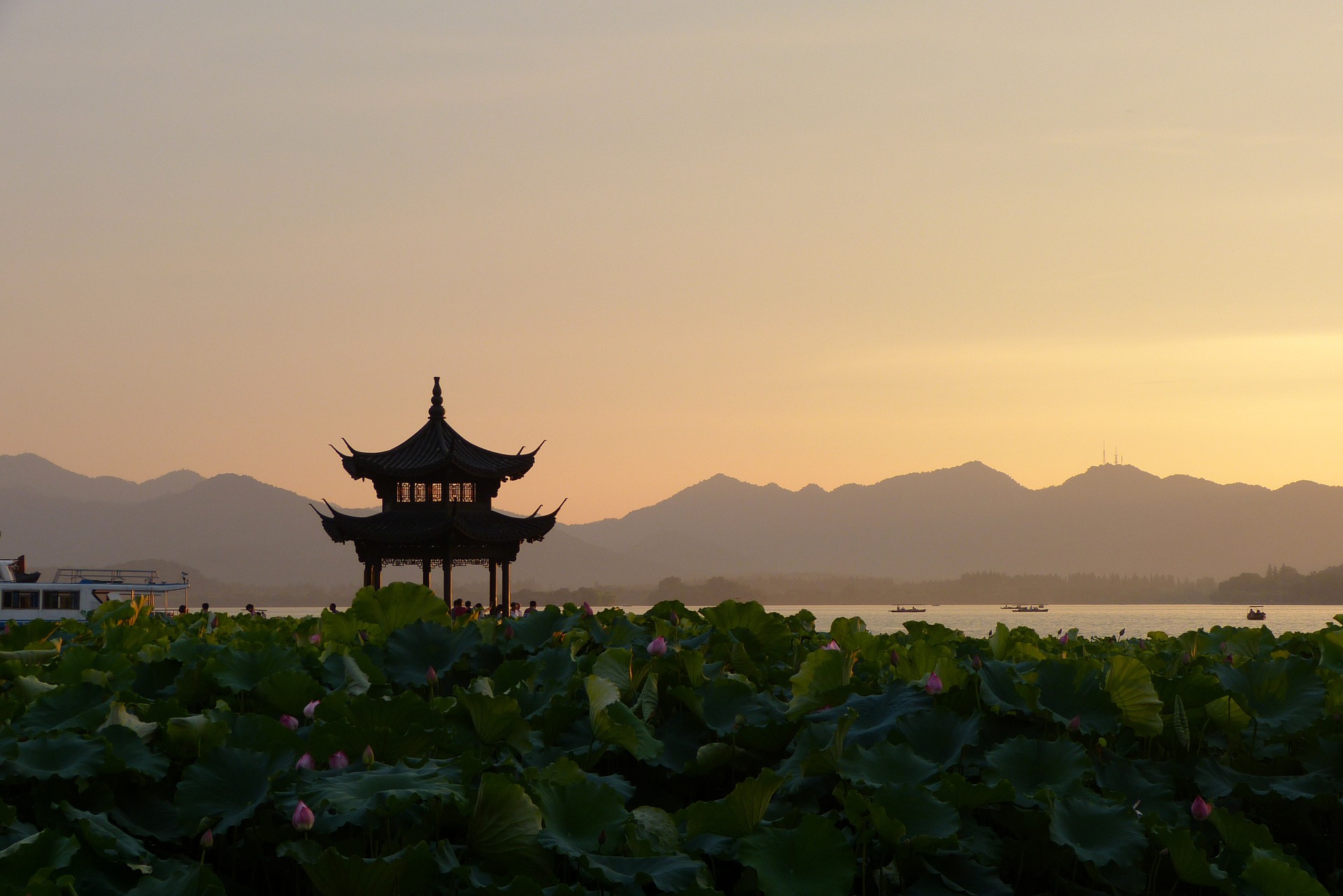 a pagoda in a field of plants