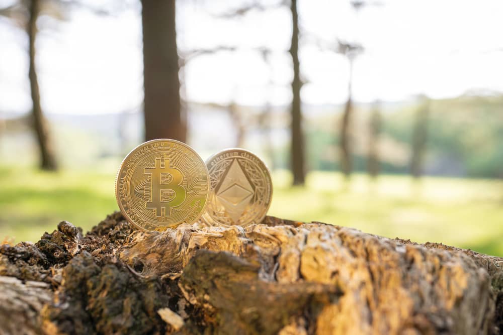 a couple of coins on a tree stump