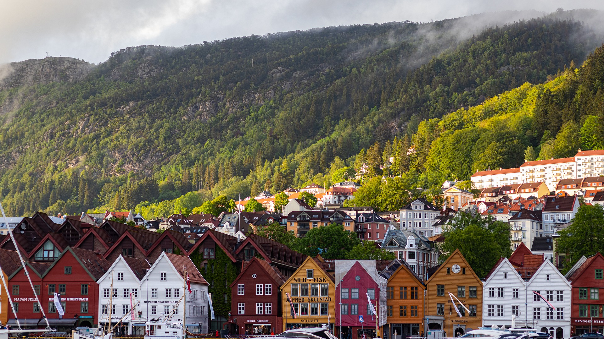 a group of houses in a town