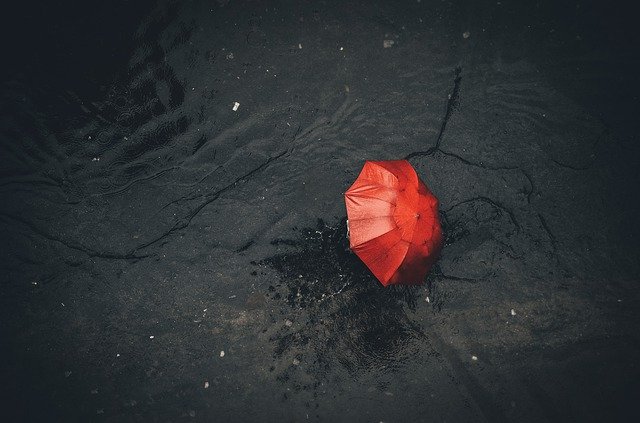 a leaf on a black surface