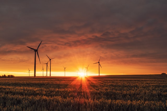 a row of wind turbines in a field at sunset