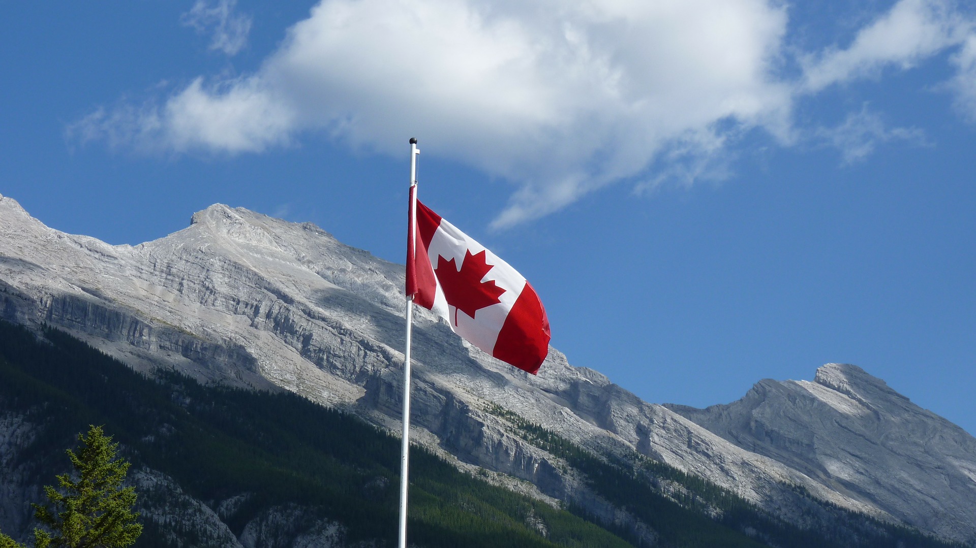 a flag on a pole