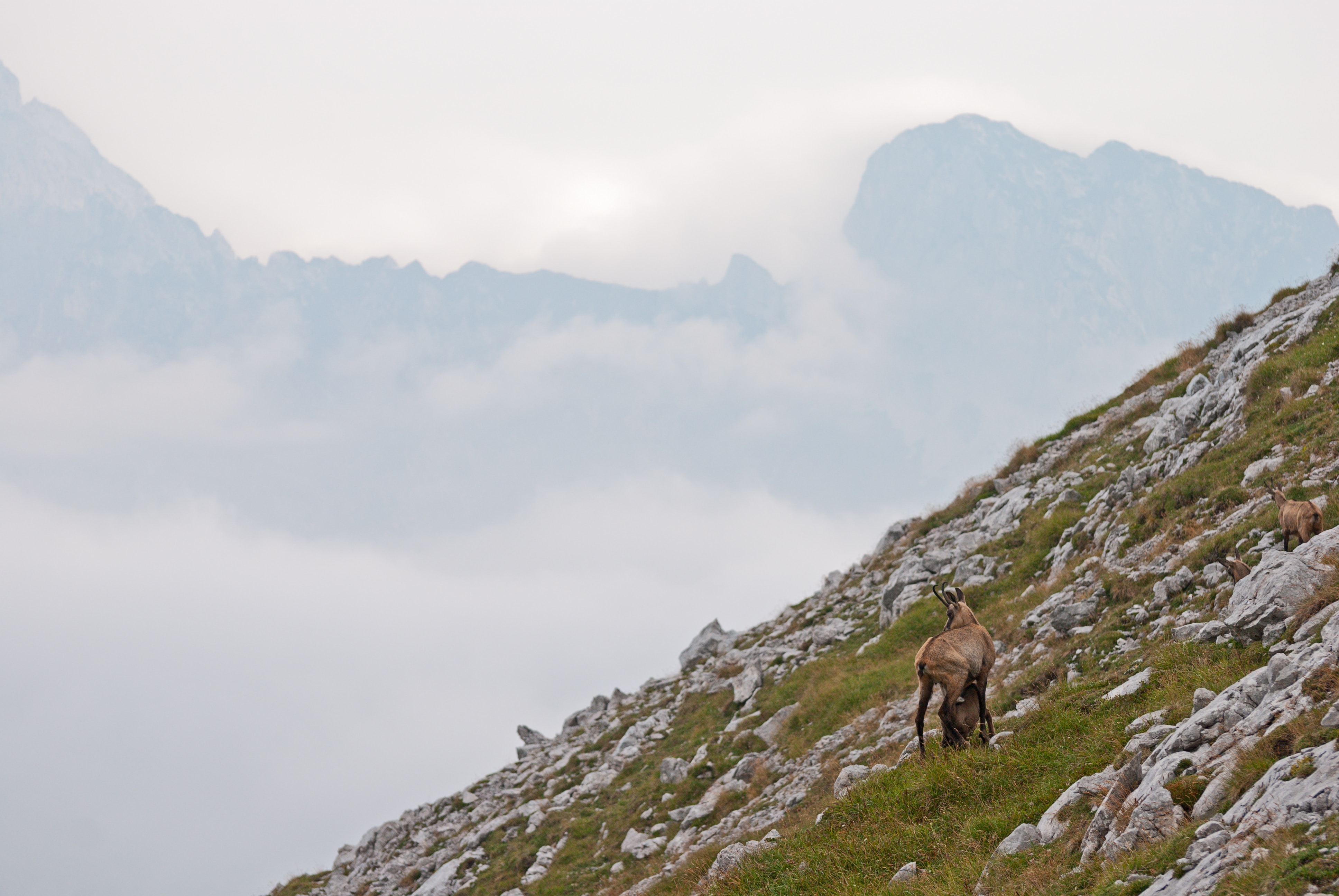 a person standing on a mountain