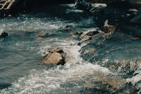 The importance of currency hedging in fixed income