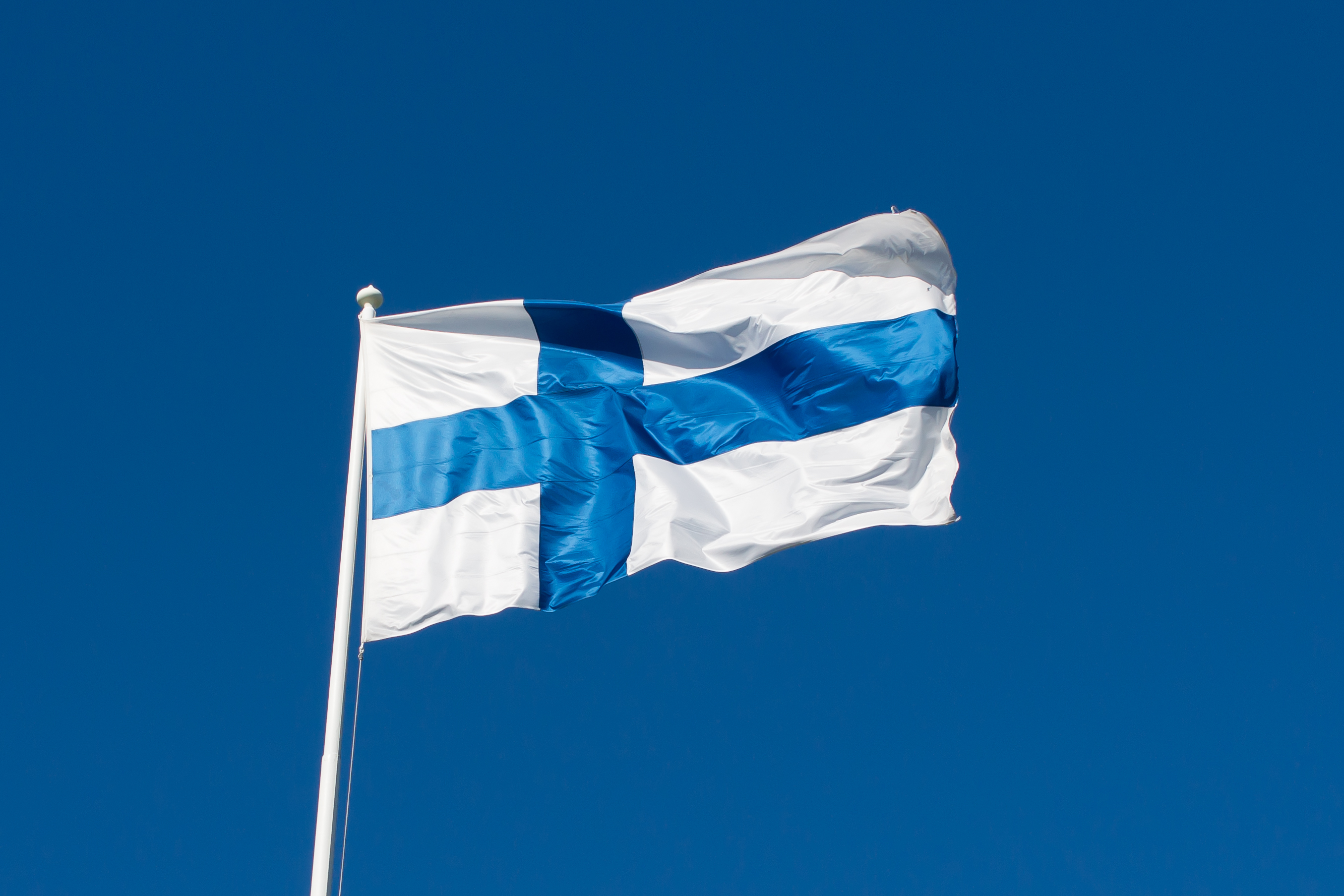 shutterstock 172835666