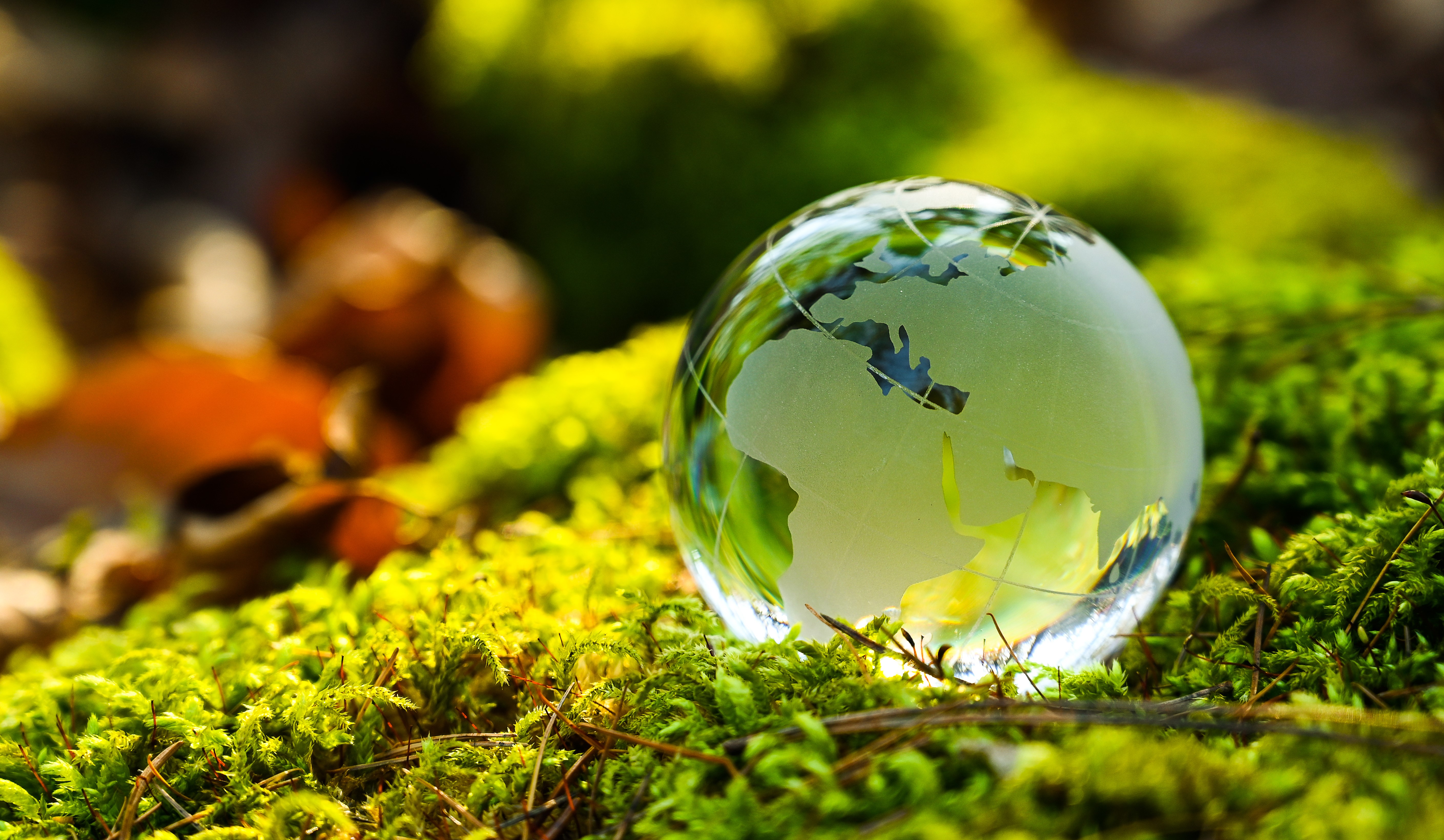 a glass globe on a patch of grass