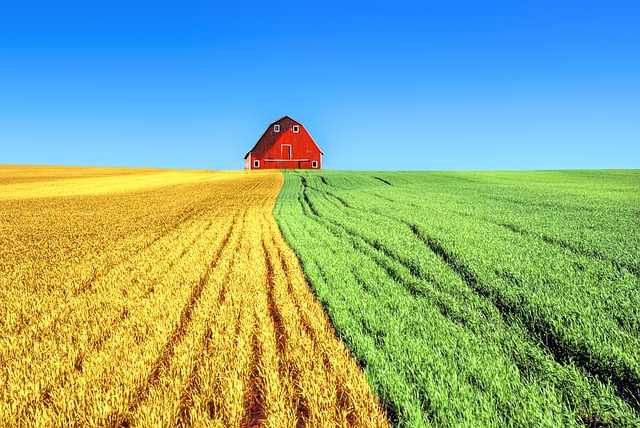 a red barn in a field