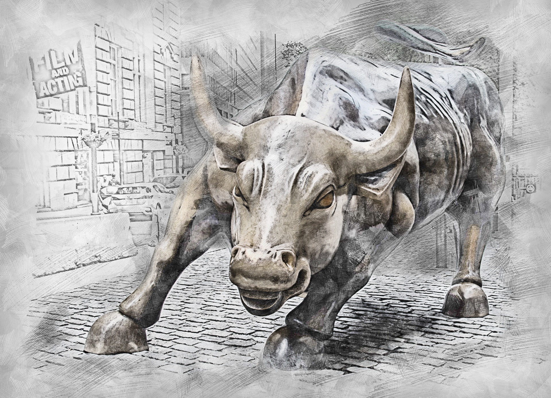 a bull running in a city